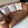 Free Sofa Image 3