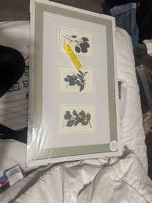 Paul Costelloe Living Frame with three prints