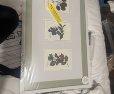 Paul Costelloe Living Frame with three prints