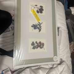 Paul Costelloe Living Frame with three prints