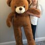 teddy bear Image 2