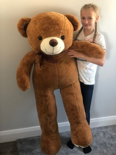 teddy bear