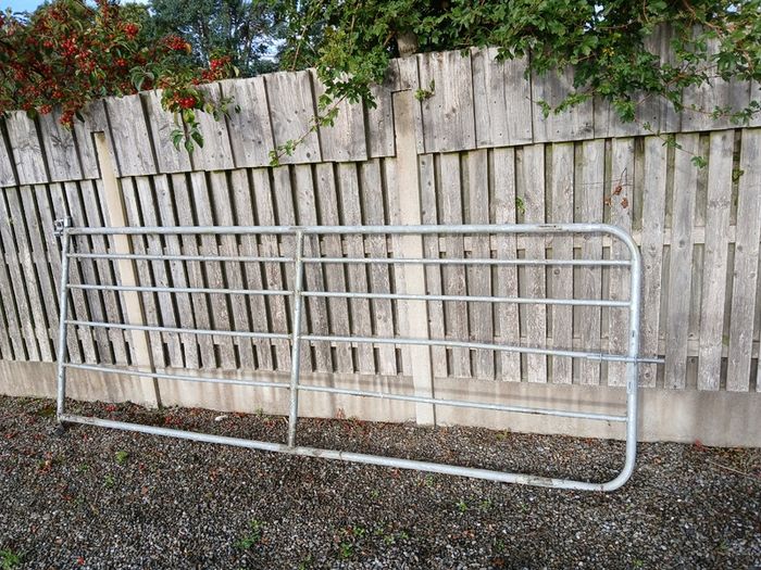 Field gate