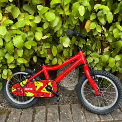 Ridgeback MX14