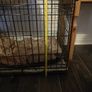 small crate Image 3