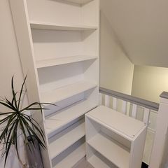 Big and small Billy Bookcase