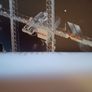 Science in Orbit/ The Shuttle & Space lab, 1981- 1986 / NASA/ 1988 Image 10