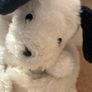 teddy Image 4