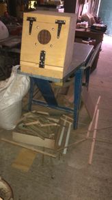Terrier transport boxes