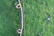 nissan micra k10 axle complete