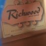 Richwood Electric Acoustic Image 8