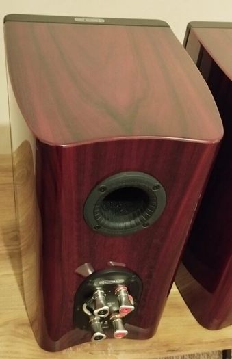 High-End Speakers, Monitor Audio Platinum PL100 II (Including Custom  Stands)