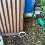 mobile hen coop Image 10