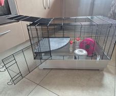 rat, chinchilla, hamster, guinea pig, rodent cage with accessories