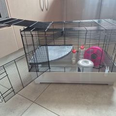 rat, chinchilla, hamster, guinea pig, rodent cage with accessories