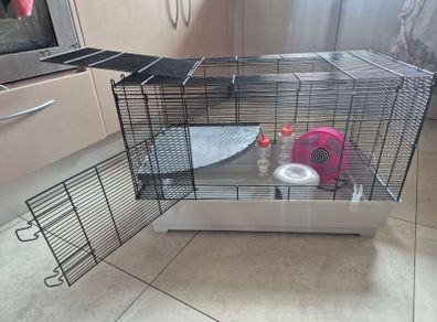 rat, chinchilla, hamster, guinea pig, rodent cage with accessories