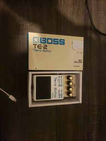 Boss Tera Echo Te -2