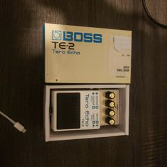 Boss Tera Echo Te -2