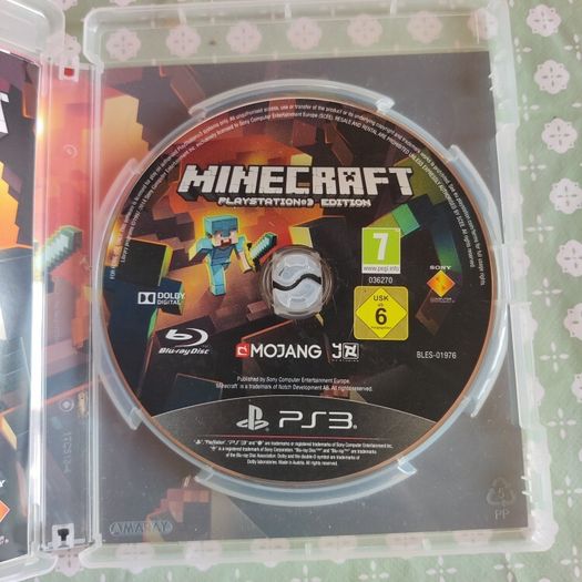 Minecraft (PS3)