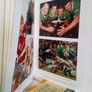 Passion in Exile: 100 Years of London Irish RFC by Peter Bills. Foreword by Spike Milligan (LP308) Image 5