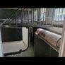 Horse Lorry Image 4