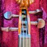 Stentor 1 Student Violin Image 8