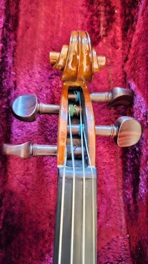 Stentor 1 Student Violin