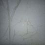 Two rolls Wallpaper 20 euro for both Image 2