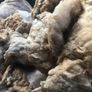 Insulation Image 3