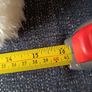 Rare Jellycat Nozzy Polar Bear Retired Brand New With Tags Image 9