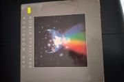 Van Morrison Vinyl