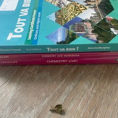 Free ; Leaving Cert Books