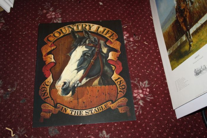 Country Life (black Horse)
