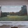 17 X Early 20th Century Irish Postcards Image 10