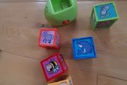 Educational toy, learn the animals
