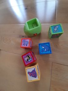 Educational toy, learn the animals