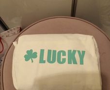 Lucky Irish make up purse