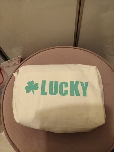 Lucky Irish make up purse
