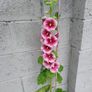 Garden Plants - mixed Image 7