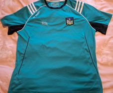 Limerick GAA Official O'Neills Hurling Jersey (Adult Medium) FREE POST