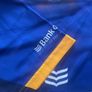 Leinster rugby Image 4