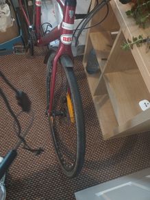 track bike