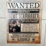Harry Potter Posters Image 5