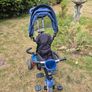 kids buggy Image 2