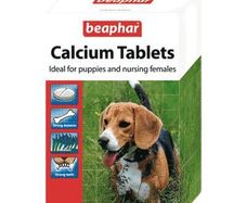 BEAPHAR Calcium Tablets (180)