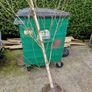 Silver Birch Image 4