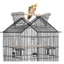 Classic Bird Cage with Outdoor Seat Large Side Door Bird Cage with Stand 145 cm High  for Turtle Pigeons, Cockatiels, Parrots, Parakeets. Image 7