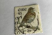 Irish stamp - Song Thrush