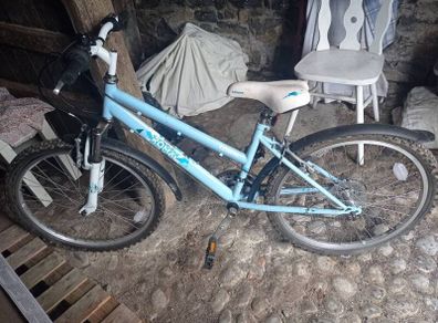 Raleigh Roma girls bike