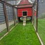 Chicken Coop/Hen house with run. Irish made Image 5